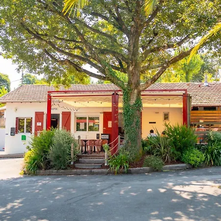 אתר קמפינג Glamping *